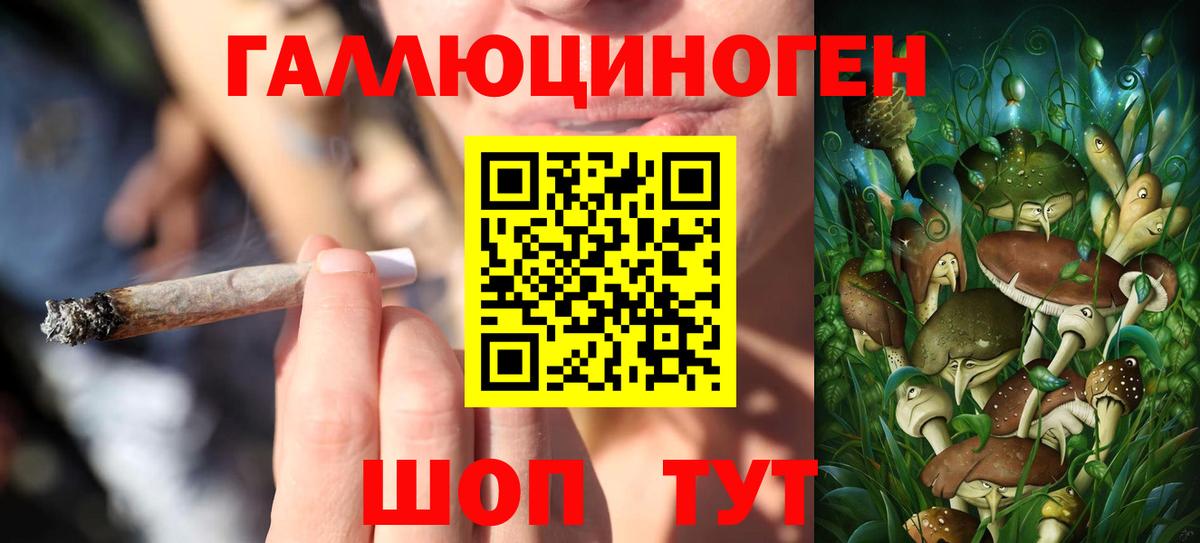 Псилоцибиновые грибы MAGIC MUSHROOMS  Галлюциногенные грибы Cubensis  Вход с VPN  Севастополь 