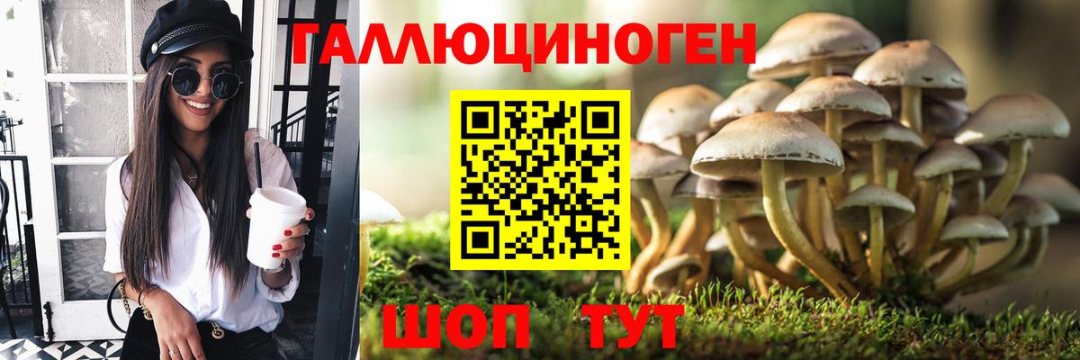 Галлюциногенные грибы GOLDEN TEACHER Севастополь